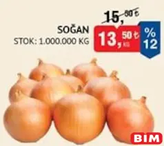 SOĞAN KG SOĞAN KG